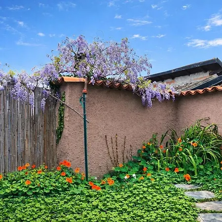 Joy House - Ligo - Villanova D'albenga Apartman